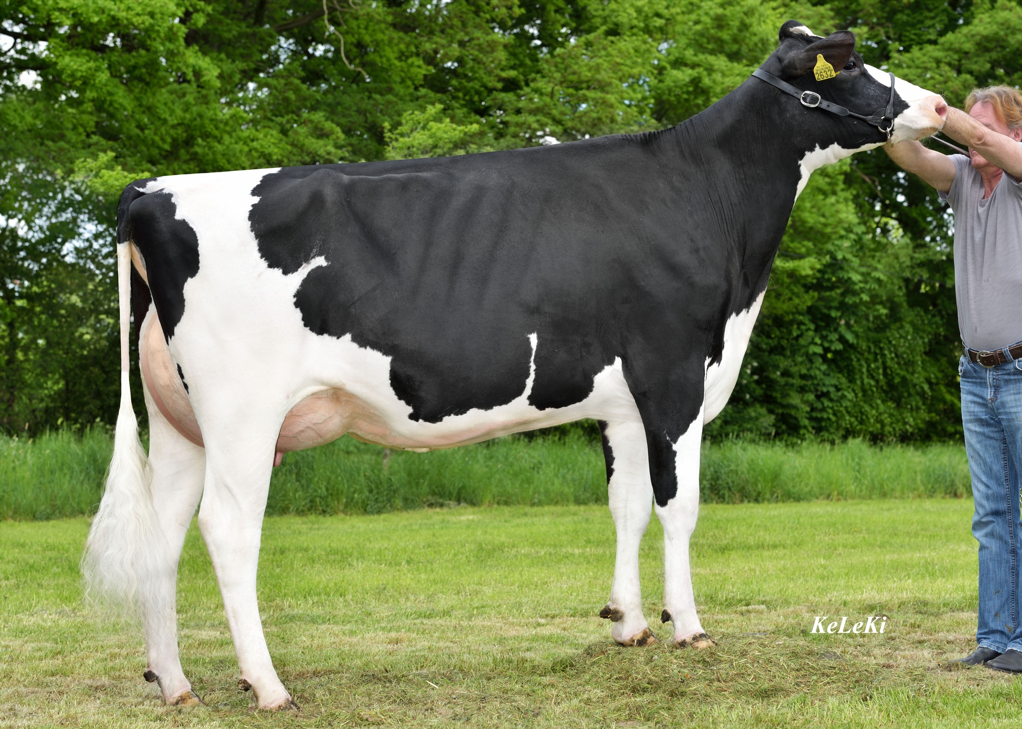 02_Madre_Giessen_Cinderella_NL765126326_NumeroUno.jpg
