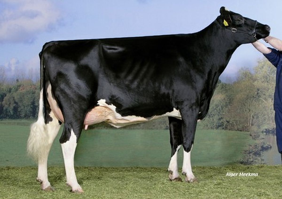 FUSION_Koepon-Pronto-Barbie-1-VG-87-NL-2yr-nonna-di-FUSION.jpg