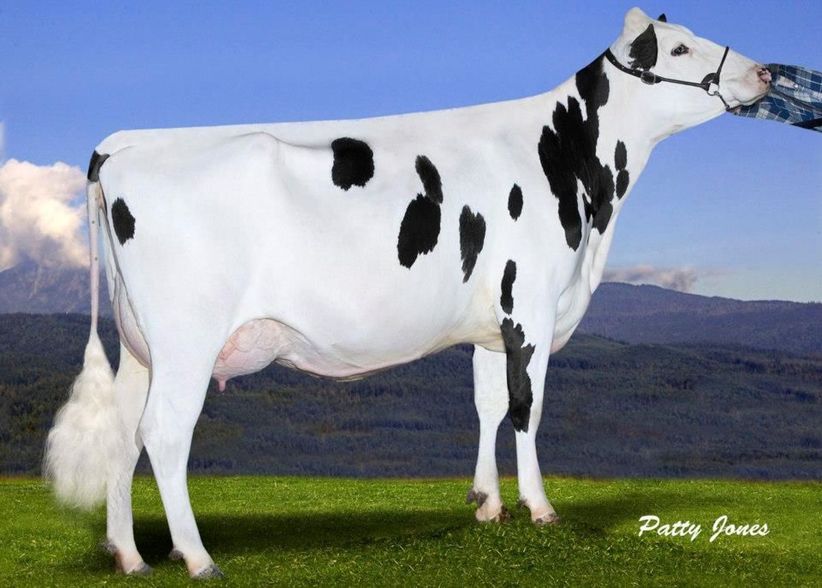 GILLETTE-GARRETT-LOOKAS-EX92.jpeg