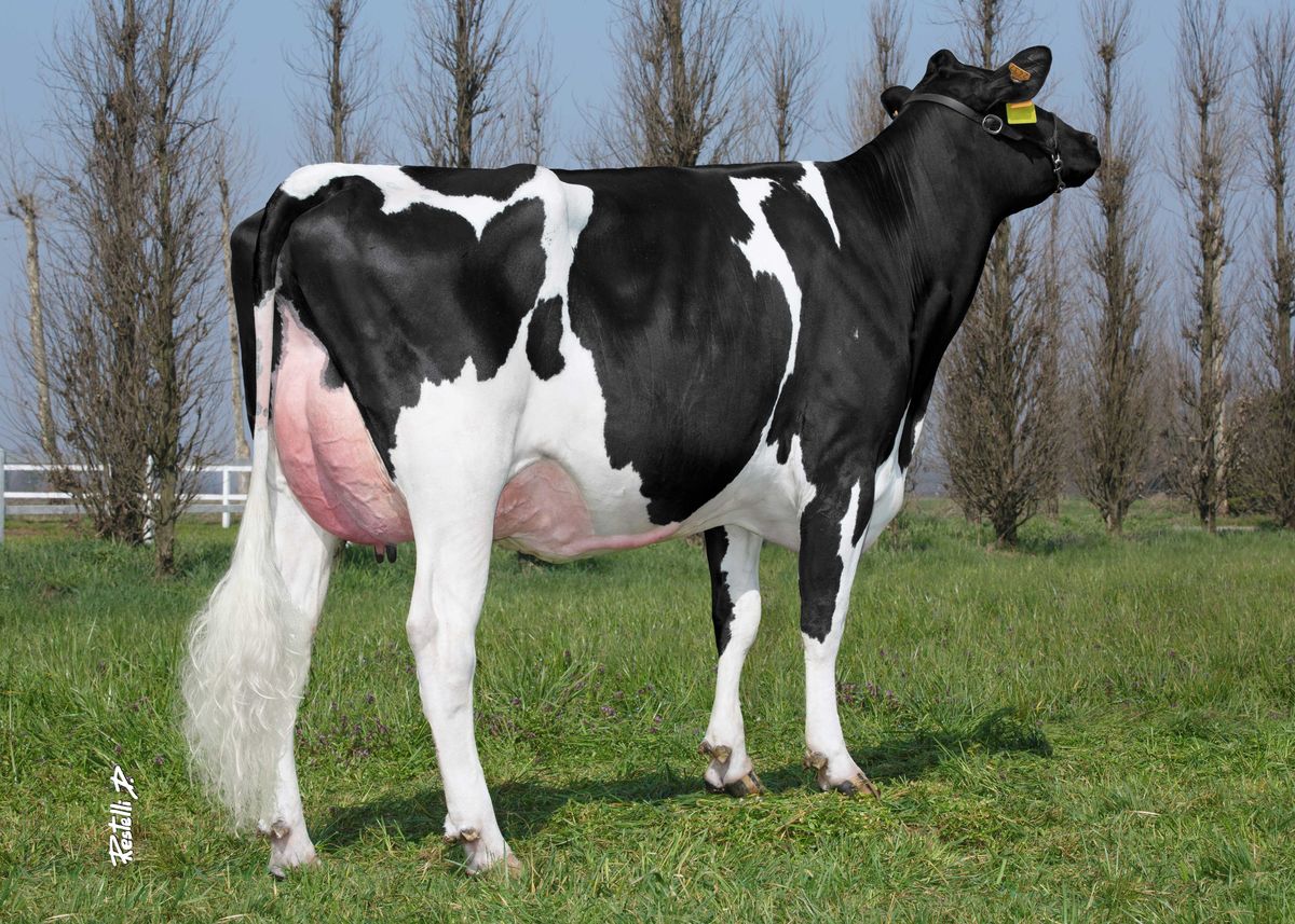 IT019991792437-GO-FARM-SCALA-ET-GO-FARM-Casalmorano-CR-post-dam-of-SCATMAN.jpg