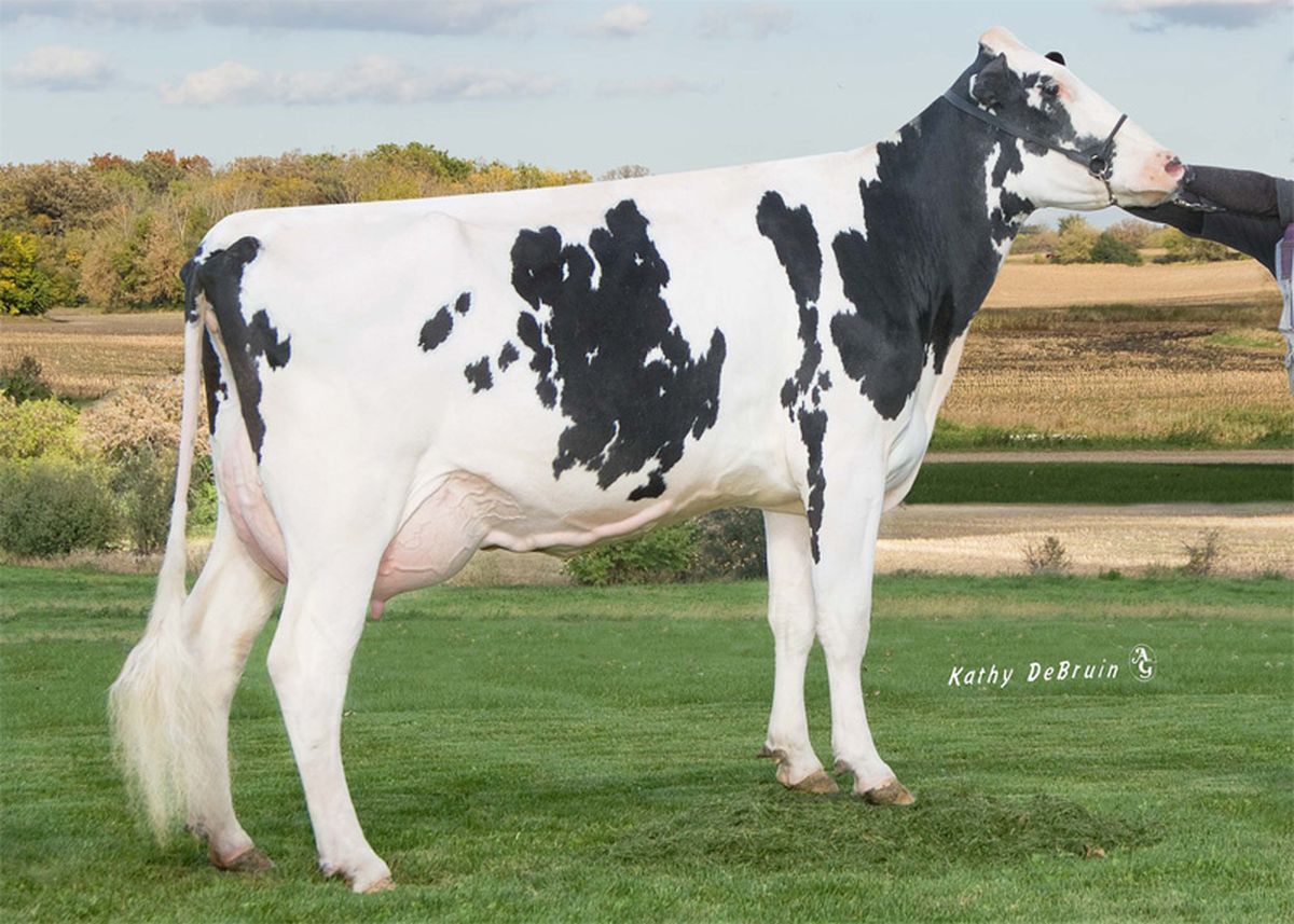 REGANCRESTDL-S-RALISHA-ET-EX92-4th-dam-of-ISLERO.jpg