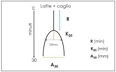 ac_immagine02