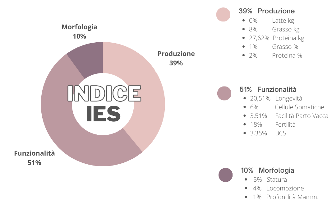 IES – divisione2