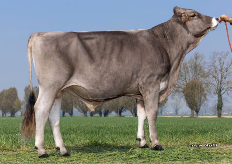 IT014990189044-GP-KIBA-LOVERNAMUR-ET-21-03-2023-lato-1-800×565