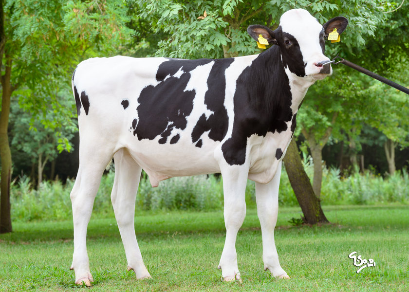 DE000366115562 KESSEL web_risultato