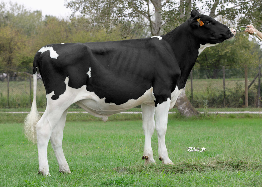 IT019992694012 GOSSER_risultato