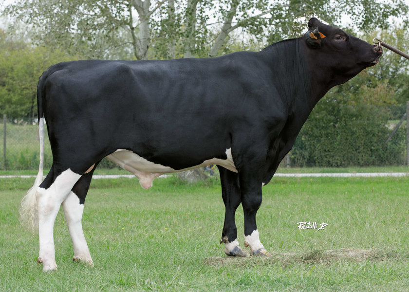 NAZARIO IT019992597879_risultato