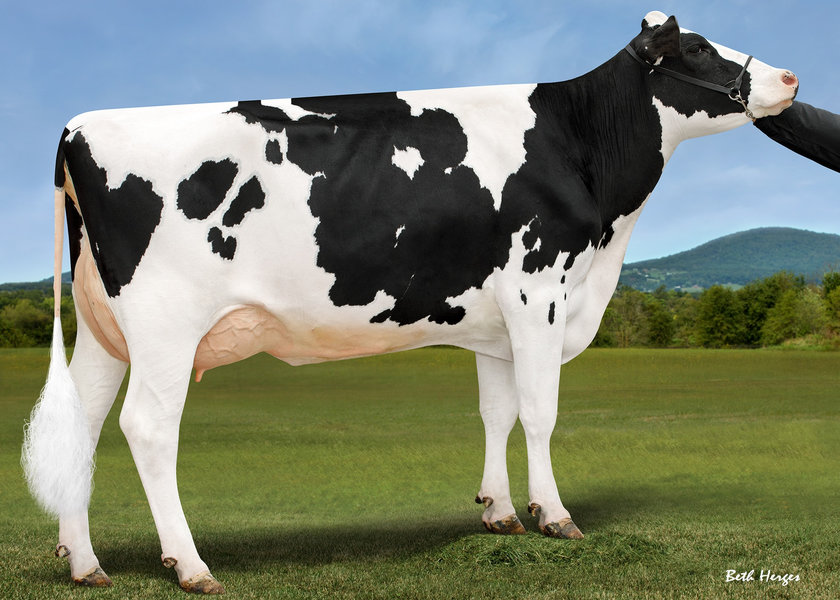 TTM BK BIG AL ELECTRIFY-ET – 2nd dam of ENOLA_risultato