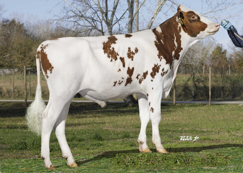 _W1A0229-IT001991613485.REDRONNIE.Intermizoo_risultato