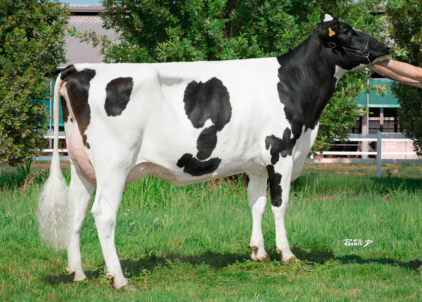 IT019992430043 GO-FARM MARY ET – Go-Farm di Gozzini Luca, Claudia e Liborio Fabio Soc. Agr. – Casalmorano (CR)_risultato